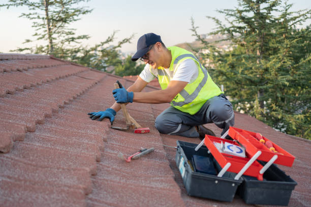 Gutter Installation and Roofing in Cheney, KS